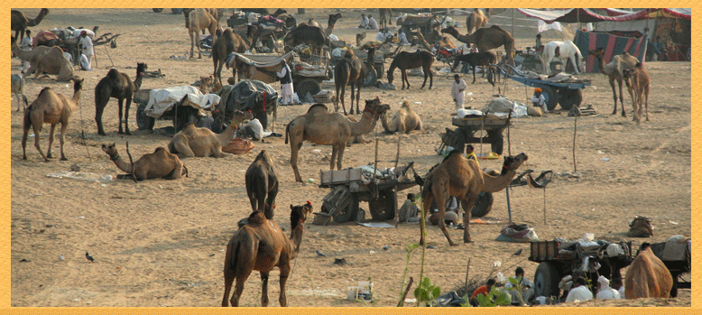 pushkar